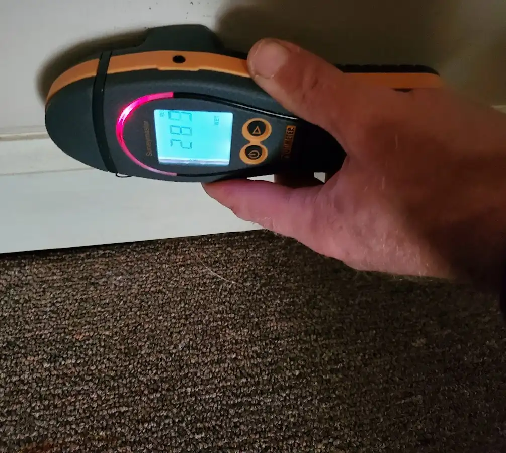 Moisture detection at baseboard during Sewage Cleanup & Sanitation in Johnstown